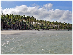 Wokam: Strand und Palmen
