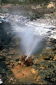 Geysir bei Tuti