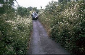 Bus auf einer engen Strae in den Bergen bei Kalabahi