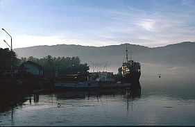 Morgennebel im Hafen von Kalabahi
