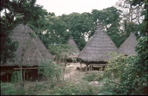 alor98_0707