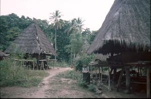 alor98_0708