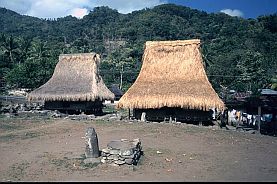 traditionelle Häuser und Steinaltar in Wolowaru