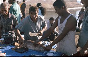 Fischhändler mit großem Fisch und Messer auf dem Fischmarkt in Maumere