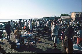 Fischmarkt in Maumere