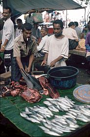 Fischhndler mit Delphinkopf auf dem Fischmarkt in Ende