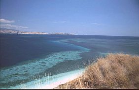 Korallenriff in den Pulau Tujubelas