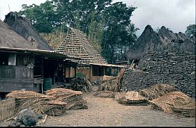 Hausbau in Bena, Dachdecken mit Alang Alang Gras