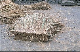 Material zum Dachdecken (Alang Alang Gras) in Bena