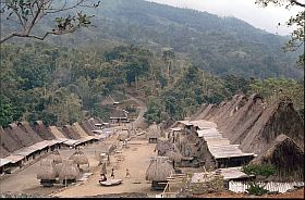 Blick über das traditionelle Dorf Bena