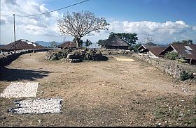 Dorfplatz von Kampung Ruteng mit heiligem Baum und getrocknetem Maniok