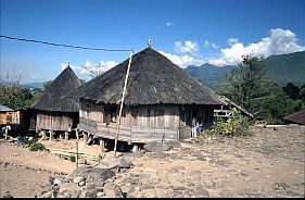 Rundhaus in Kampung Ruteng