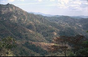 gebirgige Landschaft bei Ruteng