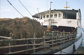 Schiff mit Vieh (Wasserbffel) im Hafen von Kedindi