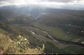 Flusstal mit Reisterrassen zwischen Ruteng und Todo
