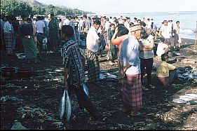 Fischmarkt am Strand in Ende