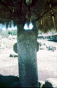 Beschnitzter Stamm eine Ngaduh