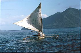 Auslegerboot mit Segeln aus Reisscken