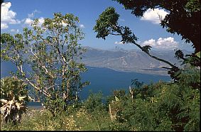 Blick auf die Waienga-Bucht