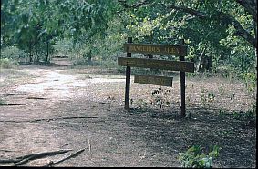 Warnschild in Englisch: 'Dangerous Area - watch out Komodo  crossing - be silent'