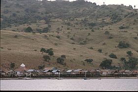 Blick auf Kampung Komodo, die grte Siedlung