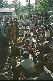 auf dem Markt in Busalangga