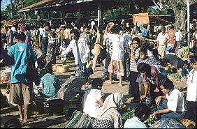 auf dem Markt in Busalangga