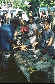 auf dem Markt in Busalangga