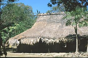 traditionelles Raja-Haus zwischen Papela und  Pante Baru 