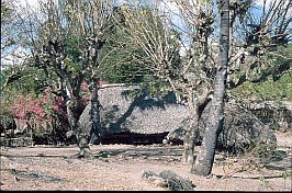 traditionelles Haus bei Namata 