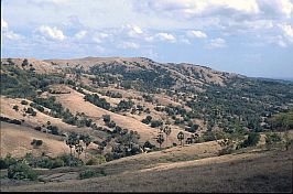 Landschaft zwischen Seba und Ledeke