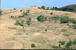 Landschaft zwischen Seba und  Ledeke