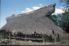 traditionelles Haus (Rumah Adat) oberhalb von Liae