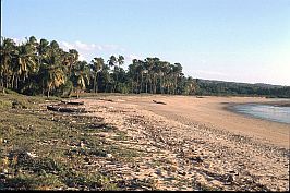 Strand bei Seba