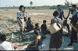 Feldarbeiter in der Nhe von Kuji Ratu