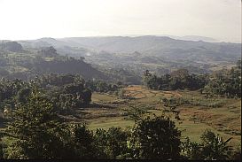 Landschaft zwischen Waikabubak und Praigoli