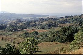 Landschaft zwischen Waikabubak und Praigoli