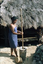 Reis stampfende Frau in Wena Marika