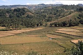 Landschaft bei Waimangura