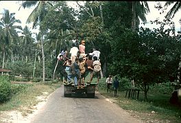 ffentlicher Transport mit Lastwagen in Waimangura
