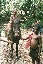 Jungen mit Pferd