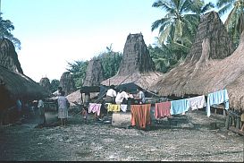 Kampung Puunaga