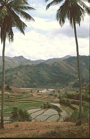 Landschaft bei Galu Wunta