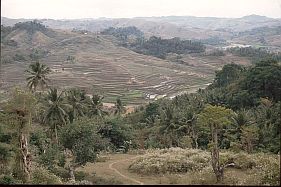 Landschaft bei Sodan