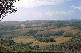 Landschaft auf dem Weg nach Mamboro