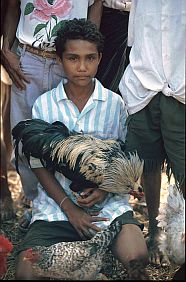 Markt in Mamboro: Junge mit Hahn