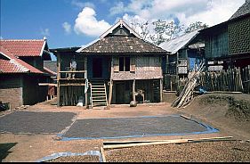 Das Haus des Brgermeisters von Tepal; vor dem Haus trocknet Kaffee