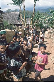 Kinder beobachten den Orang Turis