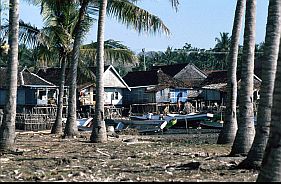 Sandong: Huser zwischen Kokospalmen