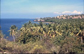 Landschaft hinter Tawali
